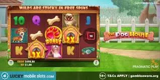 Australian Mobile Casinos for The Dog House — Operator Selection