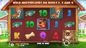 Playing The Dog House for Real Money Playing The Dog House for Real Money